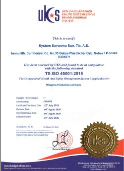 OCCUPATIONAL HEALTH AND SAFETY
